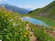 42 Distese di fiori dai fianchi della montagna alle rive del lago